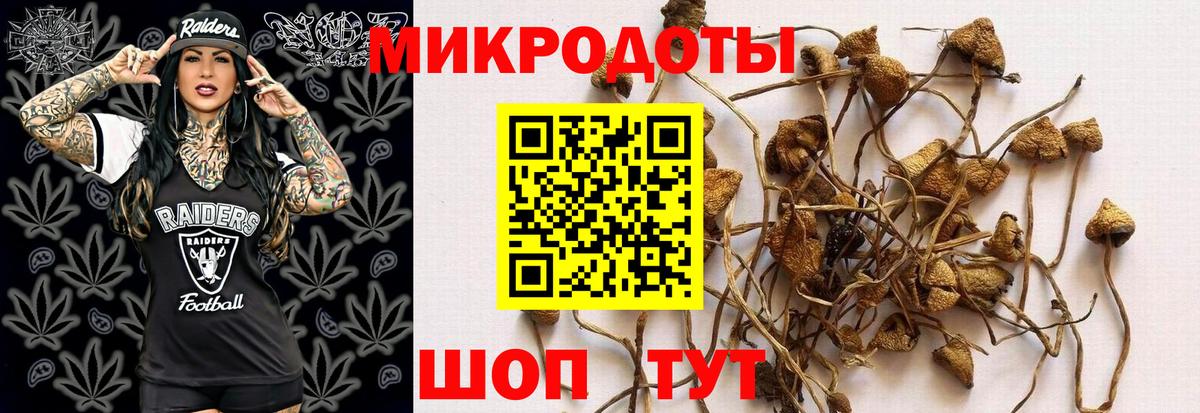 Архангельск  Псилоцибиновые грибы MAGIC MUSHROOMS  Вход с VPN  Галлюциногенные грибы мицелий 
